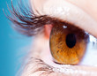 Human eyelashes close up. Focus on eyelashes.