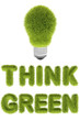 light bulb with green grass texture