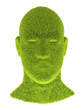 grass head