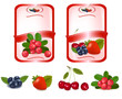 Two red labels with berries and cherries. Vector.
