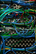 Ethernet cables in many colours Ethernet cables in many colours