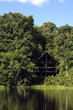 Amazon House