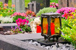 Friedhof - cementery 05