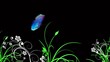 butterfly and plants - rgb and alpha (overlay on any background)