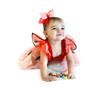 Photo: Lady bug Crawling Lady bug Crawling
