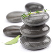 Spa stones with green leaves.