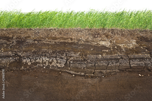 Foto: Grass and soil layers isolated on white Grass and soil layers isolated on white
