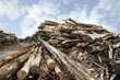 Holzstapel