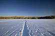 Lago finlandese ghiacciato con sentiero nella neve Lago finlandese ghiacciato con sentiero nella neve
