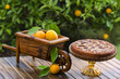 A beautiful orange cake decorated with a wheelbarrow A beautiful orange cake decorated with a wheelbarrow