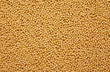 Foto : Ttexture of spices Ttexture of spices