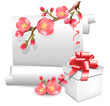 Vector gift spring  scroll with flowering quince and present.