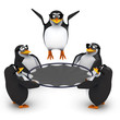 3d Penguins play with the trampoline