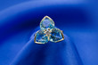 Elegant jewelry ring with jewel stone