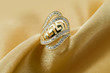 Elegant jewelry ring with jewel stone