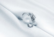 Elegant jewelry ring with jewel stone