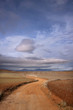 Camino