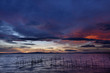La Albufera,Valencia.