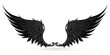 Wings black