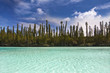 Baie d'Oro à l'île des Pins - Nouvelle Calédonie