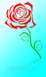 Rose Rose