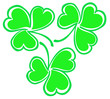 a group of green shamrock leaves