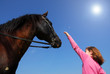Photo: cheval et enfant au soleil cheval et enfant au soleil