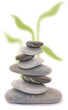 zen meditation xxl mit bambus