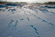 Field about big city in the winter