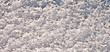 Snow Texture