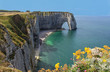 Felsenküste von Etretat