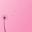 Dandelion Vector Illustration