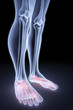 foot