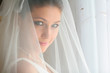 Portrait of the bride Portrait of the bride