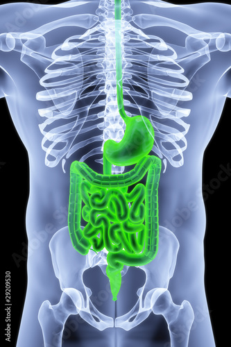 Illustration: body body
