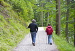 2 Wanderer im Wald