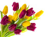 Foto: Frühlingsblumen Frühlingsblumen