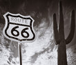 Image : Route 66 with Saguaro Cactus