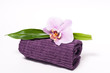 Foto: Wellness Wellness