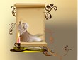 invitacion boda