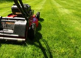 lawn mowing