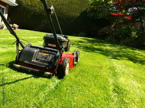 Photo: lawn mowing lawn mowing