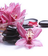 Spa Stones
