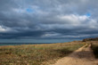 road to sea