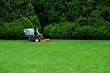 lawn maintenance