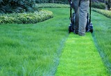 lawn maintenance company