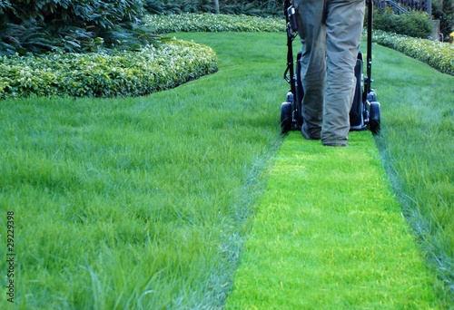 Photo: lawn maintenance company lawn maintenance company
