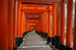 Torii gates of inari shrine in Kyoto, Japan