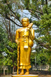 Monk walk in the forest