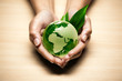 écologie planète terre main écologie planète terre main
